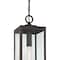 Quoizel Westover 1-Light Western Bronze Outdoor Hanging Lantern WVR1907WT - alternate 3